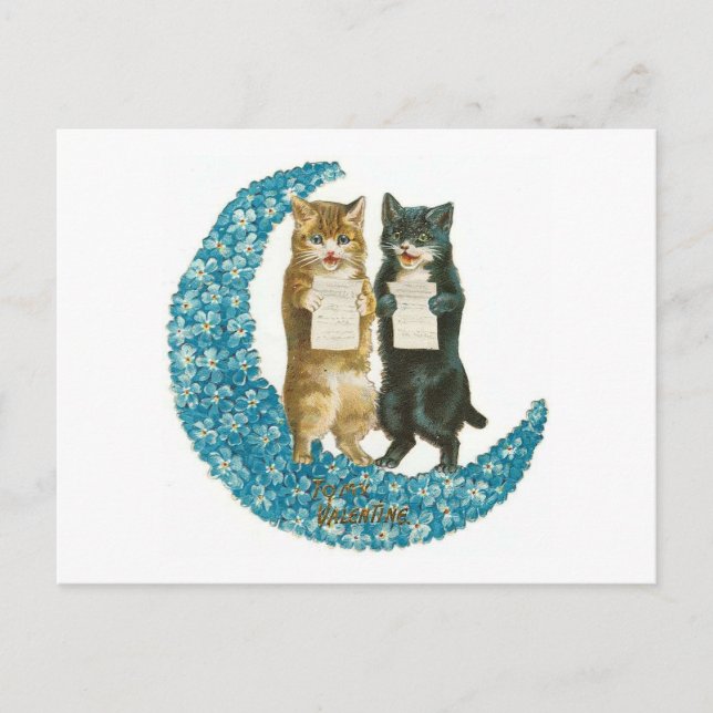 Valentine Cats on A Blue Flower Moon Holiday Postcard (Front)