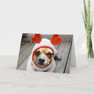 Valentine Chihuahua Holiday Card