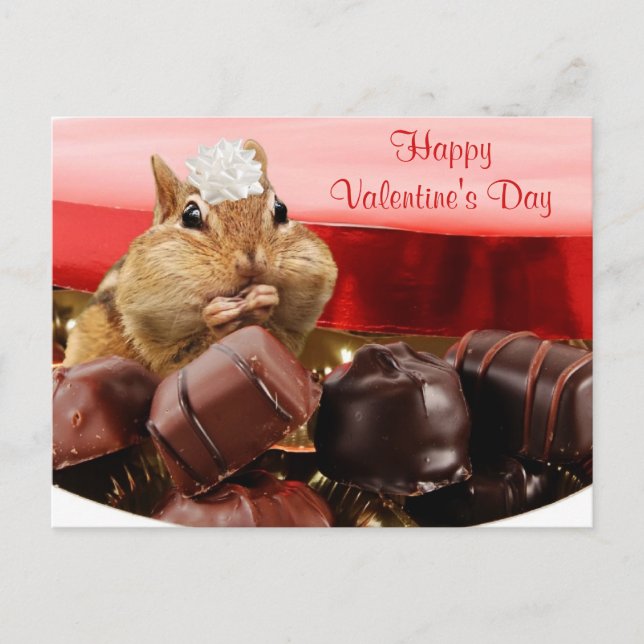Valentine Chipmunk Holiday Postcard (Front)