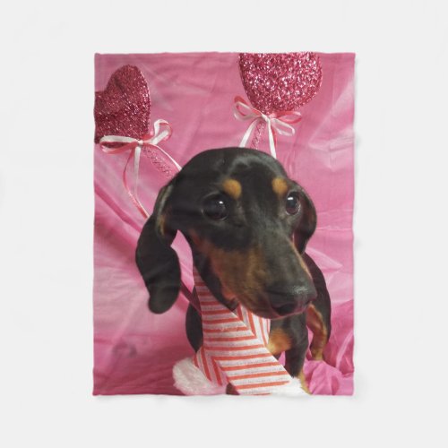 Valentine Dachshund Dog Blanket