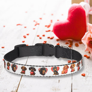 Valentine Dachshund with Heart Watercolor Pet Collar