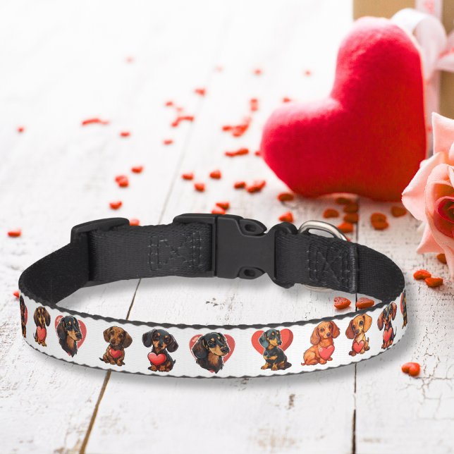 Valentine Dachshund with Heart Watercolor Pet Collar (Valentine Dachshund with Heart Watercolor Pet Collar)