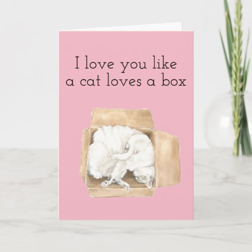 Valentine Day Card I love Your funny Cat