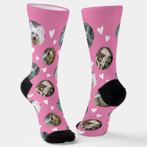 Valentine Dog Photo  Socks