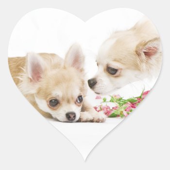 Valentine Dog Stickers by DoggieAvenue at Zazzle