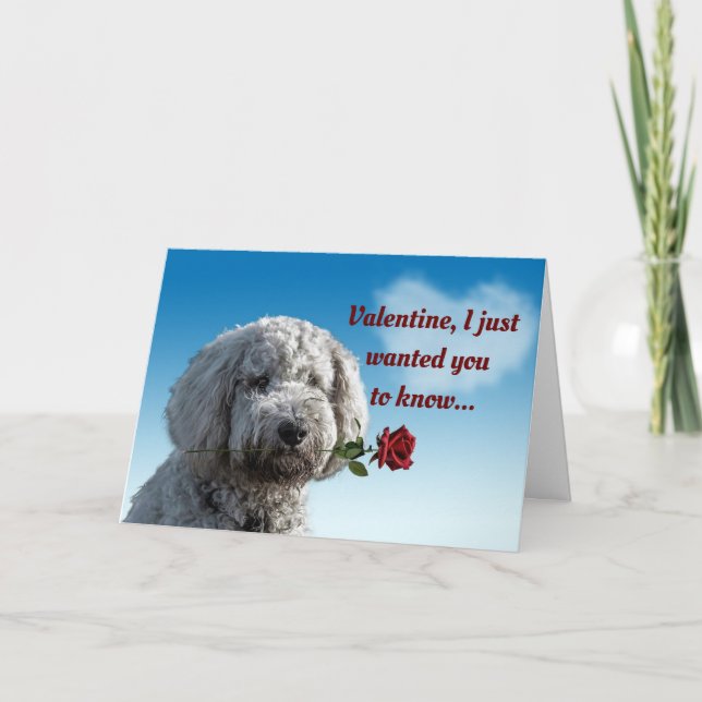 Valentine Dog With Rose Holiday Card (Front)