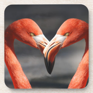 Valentine Flamingo Beverage Coaster