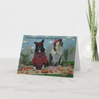 Valentine for anyone, dogs in silly clothes card