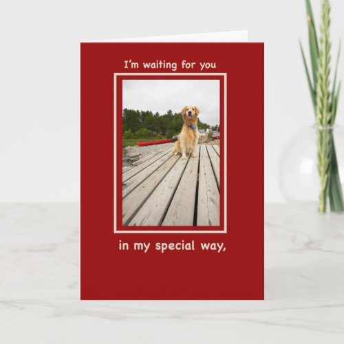Valentine from Golden Retriever Dog Holiday Card