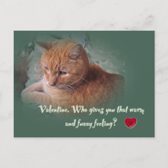Valentine From the Cat Holiday Postcard (Front)