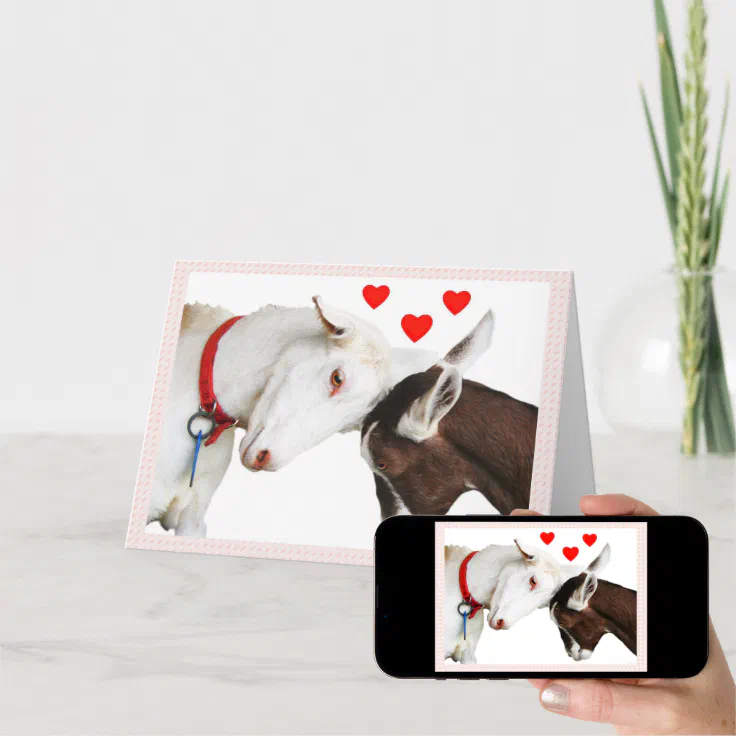 Valentine Goat Couple Holiday Card | Zazzle