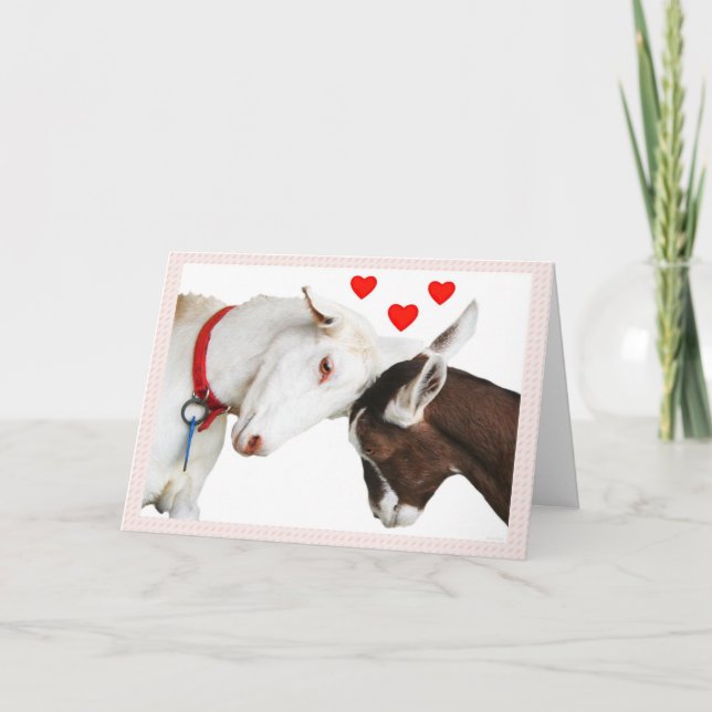 Valentine Goat Couple Holiday Card (Front)