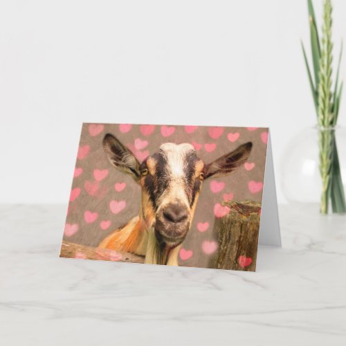 Valentine Goat Holiday Card