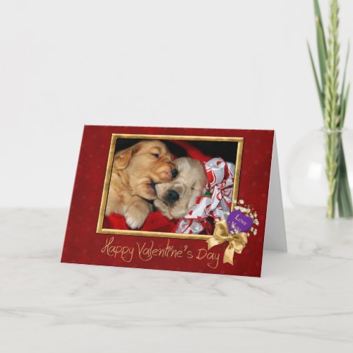 Valentine Golden Retriever Puppies  Holiday Card