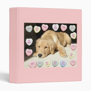 Valentine Golden Retriever Puppy 3 Ring Binder