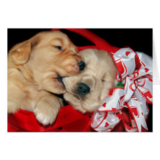 Golden Retriever Valentine Cards - Greeting & Photo Cards | Zazzle