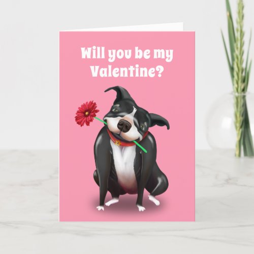 Valentine Greeting Cards  Mr Pit Bull Dog Lover