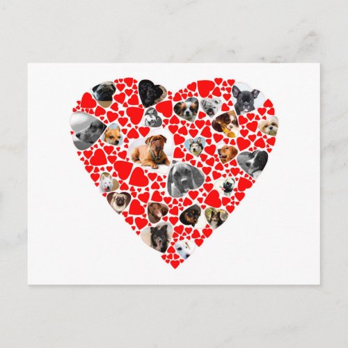 Valentine Heart Dog Photo Collage Holiday Postcard