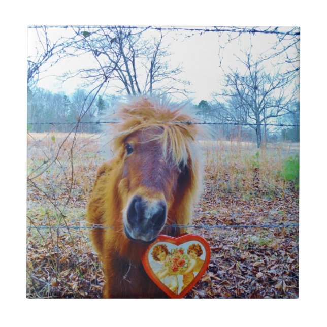 Valentine Heart  Horse Ceramic Tile (Front)