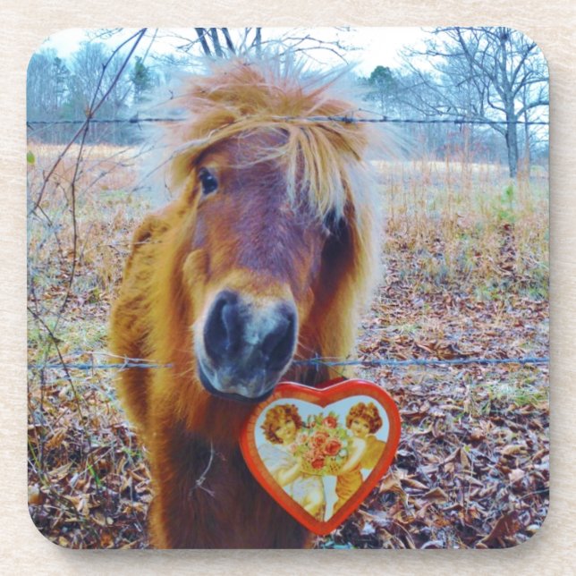Valentine Heart  Horse Drink Coaster (Front)