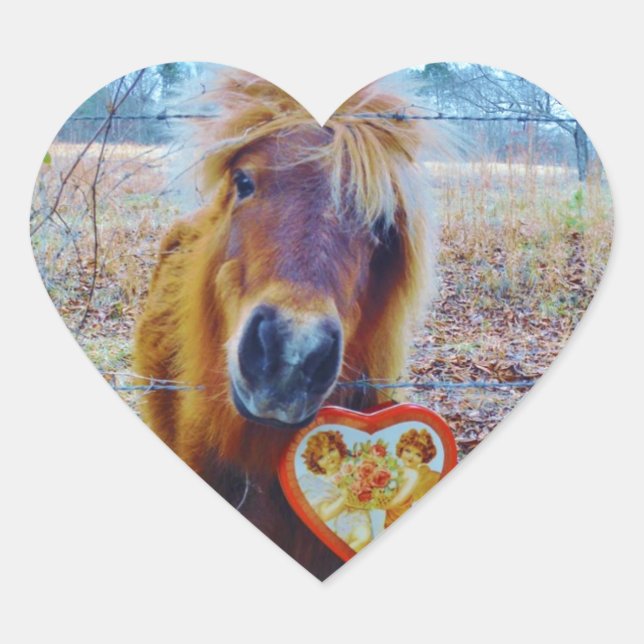 Valentine Heart  Horse Heart Sticker (Front)
