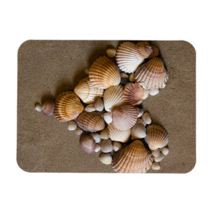 Valentine Heart Made with Shells Magnet