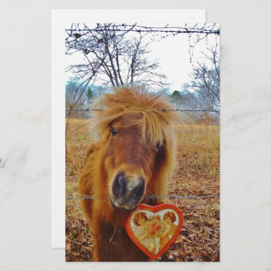 Valentine Heart Miniature brown Horse (Front/Back)