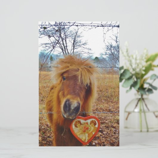 Valentine Heart Miniature brown Horse (Standing Front)