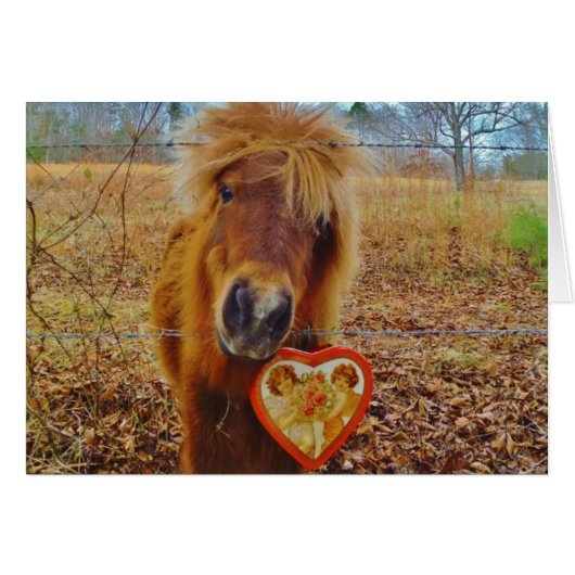 Valentine Heart Miniature brown Horse (Front Horizontal)