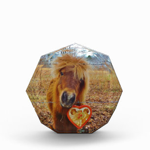 Valentine Heart Miniature brown Horse Award