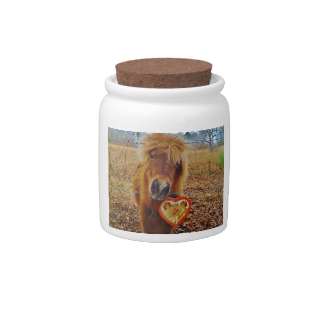 Valentine Heart  Miniature brown Horse Candy Jar (Front)