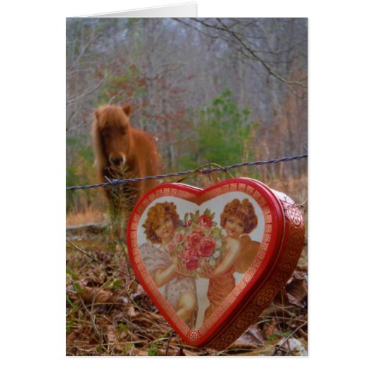 Valentine Heart  Miniature brown Horse Cards (Front)