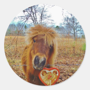 Valentine Heart Miniature brown Horse Classic Round Sticker