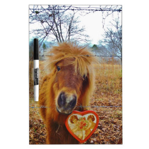 Valentine Heart Miniature brown Horse Dry-Erase Board