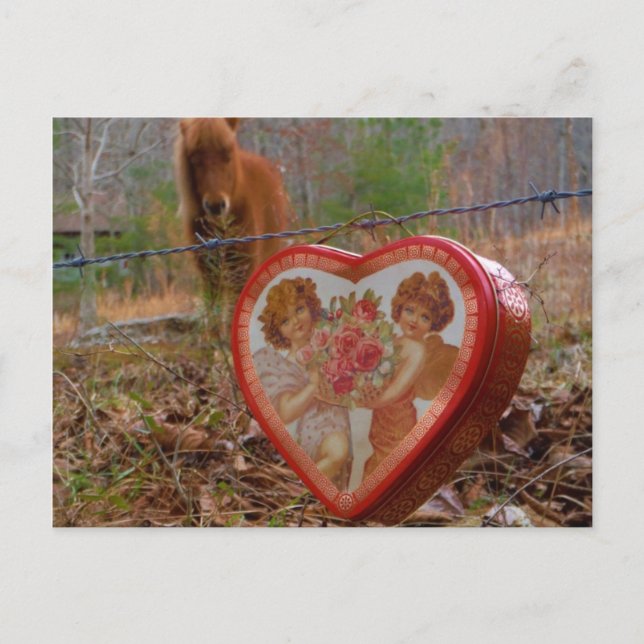 Valentine Heart  Miniature brown Horse Holiday Postcard (Front)
