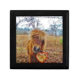 Valentine Heart Miniature brown Horse Jewelry Box