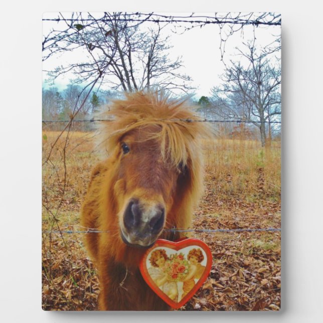 Valentine Heart  Miniature brown Horse Plaque (Front)