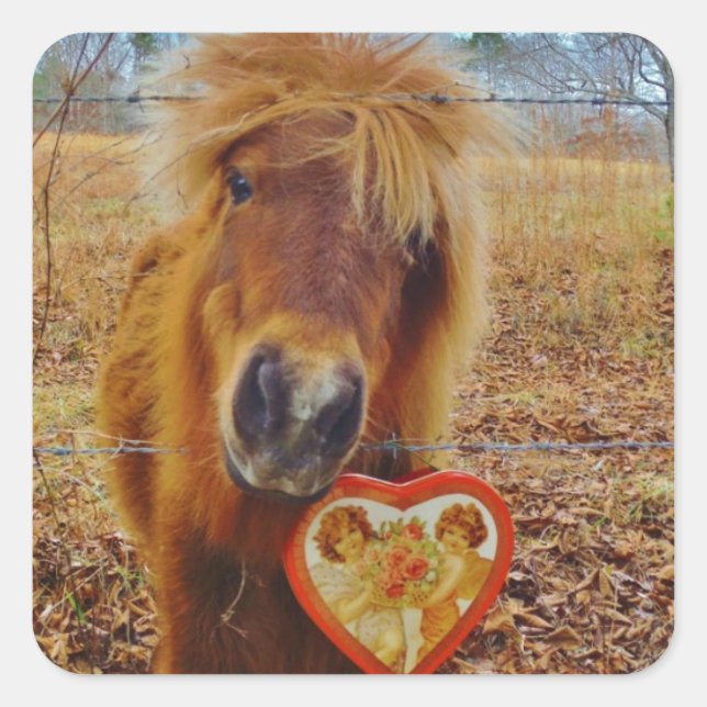 Valentine Heart  Miniature brown Horse Square Sticker (Front)