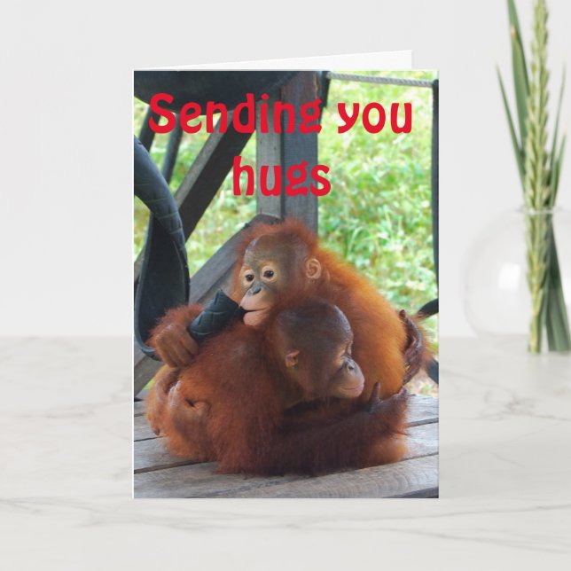 Valentine Hug Orangutan Animal Love Holiday Card (Front)