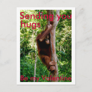 Valentine hug postcard