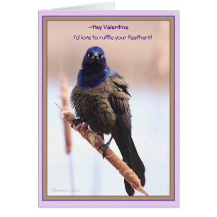 Valentine: I'd love to ruffle your feathers:  Cards
