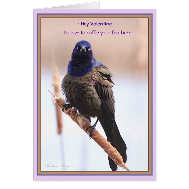 Valentine: I'd love to ruffle your feathers:  Cards (Front)