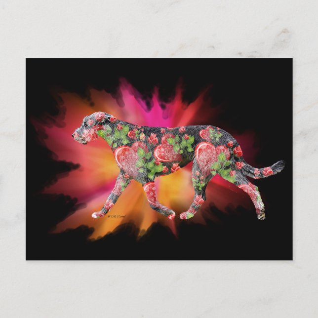 Valentine Irish Wolfhound splash of color  Postcard (Front)