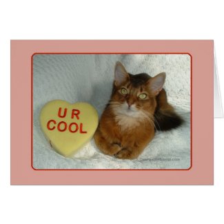 Valentine Kitty U R Cool Card