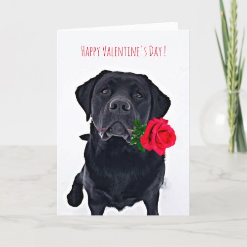 Valentine Labrador _ Black Lab Holiday Card