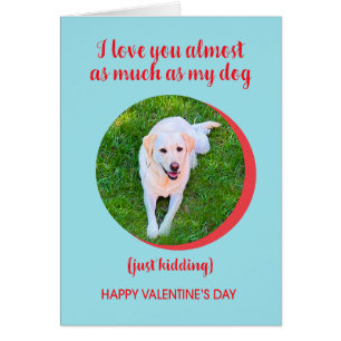 Valentine Love Dog More, Just Kidding, Funny Cards