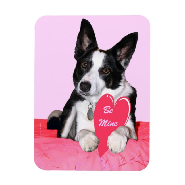 Valentine Magnet - "Magpie" (Vertical)