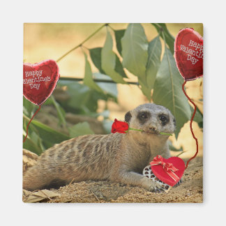 Valentine Meerkat Magnet