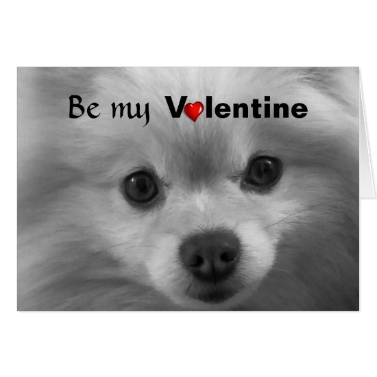 Valentine Pomeranian with Big Cute Eyes Card