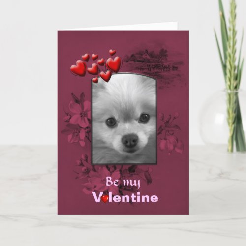 Valentine Pomeranian with Big Cute Eyes Holiday Card